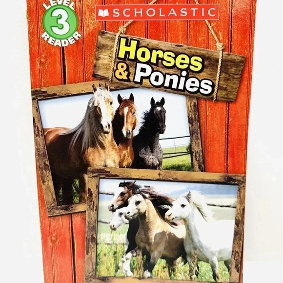 HORSES & PONIES Scholastic Level 6 Reader Paperback by Sheila Perkins Brand New - Picture 1 of 2